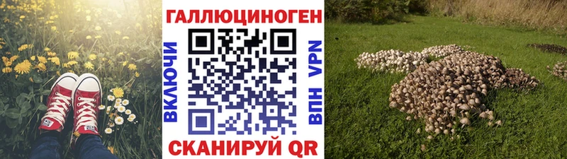 Купить закладки  Карачаевск  Псилоцибиновые грибы мухоморы 